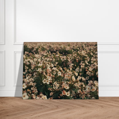 8b69a45b-46be-4f7c-b49a-35eb3063671b